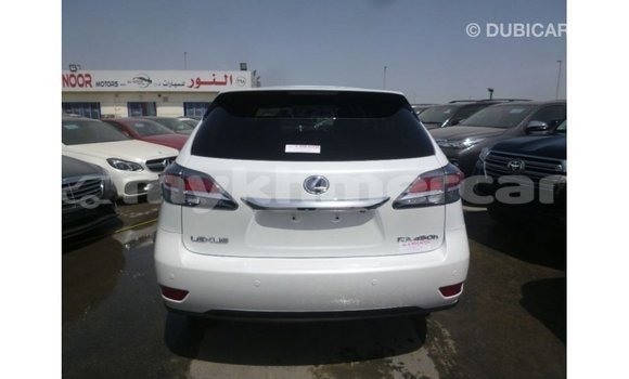 ទិញ នាំចូល Lexus RX White ឡាន} ក្នុង Import - Dubai ក្នុង Kampot Province ទិញ នាំចូល Lexus RX White ឡាន} ក្នុង Import - Dubai ក្នុង Kampot Province