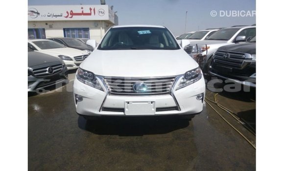ទិញ នាំចូល Lexus RX White ឡាន} ក្នុង Import - Dubai ក្នុង Kampot Province ទិញ នាំចូល Lexus RX White ឡាន} ក្នុង Import - Dubai ក្នុង Kampot Province