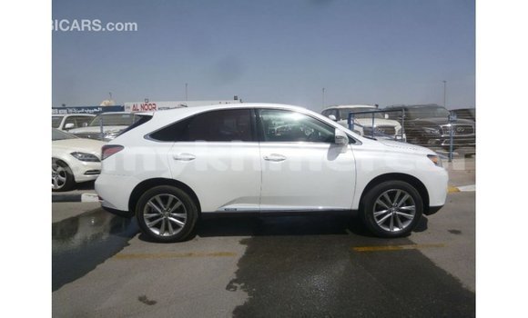 ទិញ នាំចូល Lexus RX White ឡាន} ក្នុង Import - Dubai ក្នុង Kampot Province ទិញ នាំចូល Lexus RX White ឡាន} ក្នុង Import - Dubai ក្នុង Kampot Province