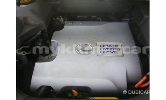 ទិញ នាំចូល Lexus RX White ឡាន} ក្នុង Import - Dubai ក្នុង Kampot Province ទិញ នាំចូល Lexus RX White ឡាន} ក្នុង Import - Dubai ក្នុង Kampot Province