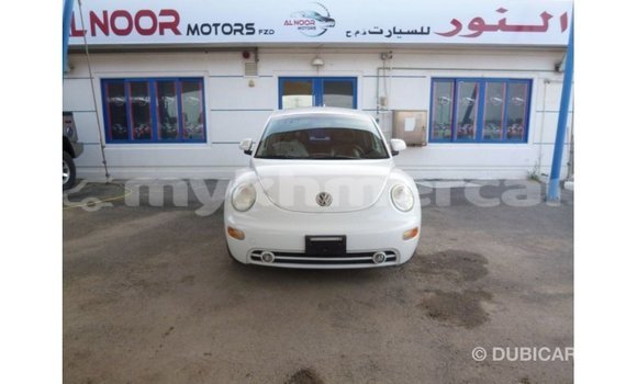 ទិញ នាំចូល Volkswagen Beetle White ឡាន} ក្នុង Import - Dubai ក្នុង Kampot Province ទិញ នាំចូល Volkswagen Beetle White ឡាន} ក្នុង Import - Dubai ក្នុង Kampot Province