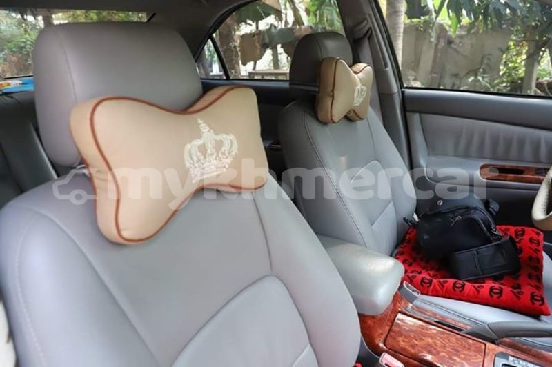 Big with watermark 51830170 1464502647014632 5494159234905931776 o