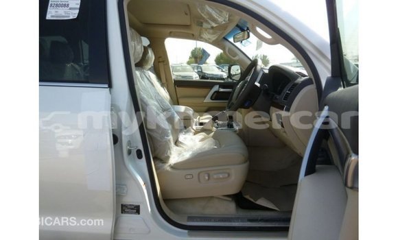 ទិញ នាំចូល Toyota Land Cruiser White ឡាន} ក្នុង Import - Dubai ក្នុង Kampot Province ទិញ នាំចូល Toyota Land Cruiser White ឡាន} ក្នុង Import - Dubai ក្នុង Kampot Province