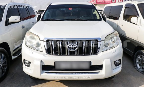Buy Import Toyota Prado White Car in Import - Dubai in Kampot Province Buy Import Toyota Prado White Car in Import - Dubai in Kampot Province