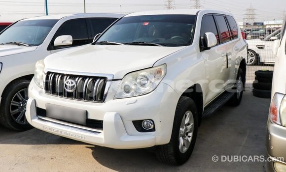 Buy Import Toyota Prado White Car in Import - Dubai in Kampot Province Buy Import Toyota Prado White Car in Import - Dubai in Kampot Province