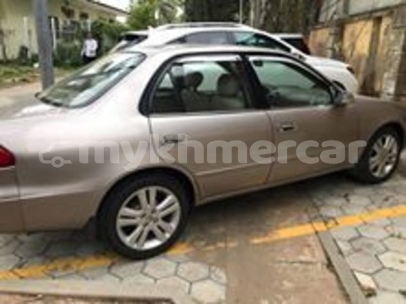 Big with watermark 69217543 2273701502883062 3502126310367428608 n