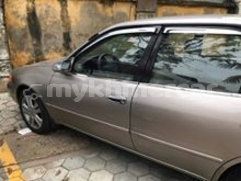 Big with watermark 69819117 2273701522883060 3689628321764605952 n