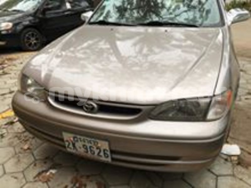 Big with watermark 69029984 2273701479549731 1097745202216435712 n