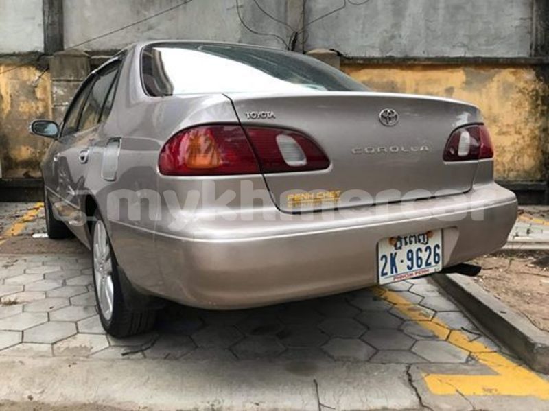 Big with watermark 69175332 2273701452883067 6715655583225085952 n