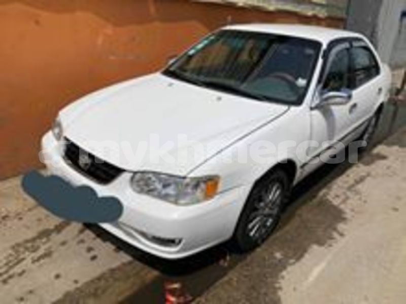 Big with watermark 64720761 2229945150592031 3142396780415549440 n