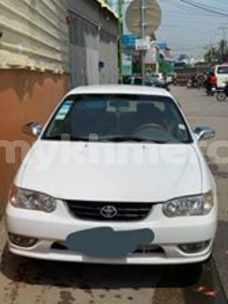 Big with watermark 65285629 2229945100592036 7323901790758371328 n