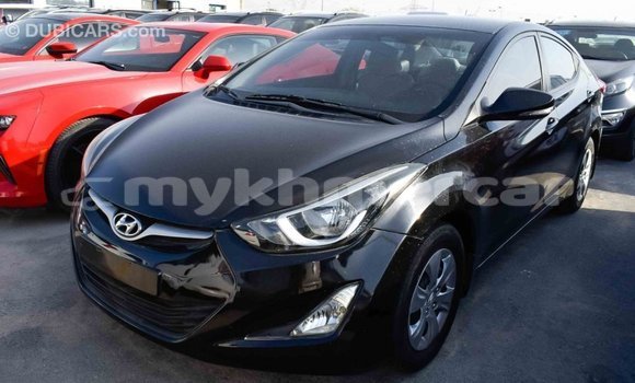 Buy Import Hyundai Elantra Black Car in Import - Dubai in Kampot Province Buy Import Hyundai Elantra Black Car in Import - Dubai in Kampot Province