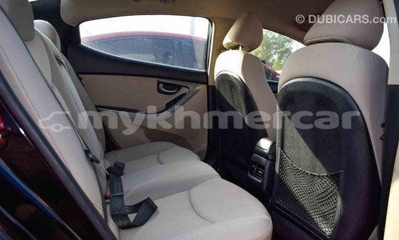 Buy Import Hyundai Elantra Black Car in Import - Dubai in Kampot Province Buy Import Hyundai Elantra Black Car in Import - Dubai in Kampot Province