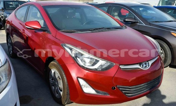 Buy Import Hyundai Elantra Red Car in Import - Dubai in Kampot Province Buy Import Hyundai Elantra Red Car in Import - Dubai in Kampot Province