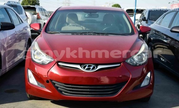 Buy Import Hyundai Elantra Red Car in Import - Dubai in Kampot Province Buy Import Hyundai Elantra Red Car in Import - Dubai in Kampot Province