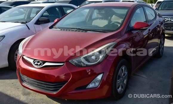 Buy Import Hyundai Elantra Red Car in Import - Dubai in Kampot Province Buy Import Hyundai Elantra Red Car in Import - Dubai in Kampot Province
