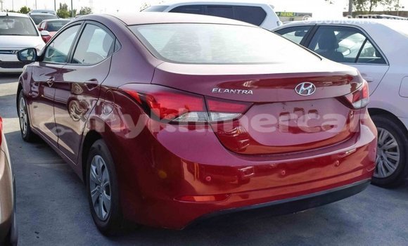 Buy Import Hyundai Elantra Red Car in Import - Dubai in Kampot Province Buy Import Hyundai Elantra Red Car in Import - Dubai in Kampot Province