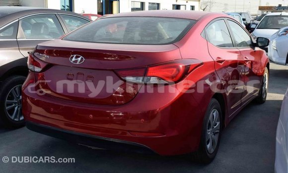 Buy Import Hyundai Elantra Red Car in Import - Dubai in Kampot Province Buy Import Hyundai Elantra Red Car in Import - Dubai in Kampot Province