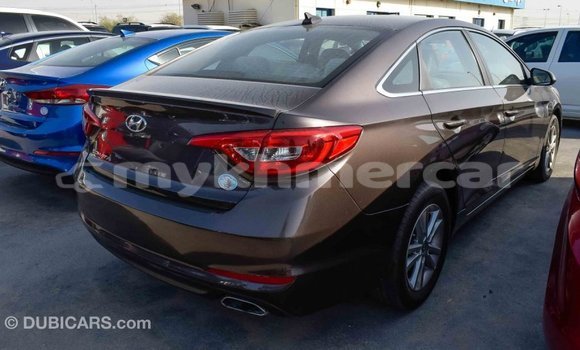 Buy Import Hyundai Sonata Brown Car in Import - Dubai in Kampot Province Buy Import Hyundai Sonata Brown Car in Import - Dubai in Kampot Province