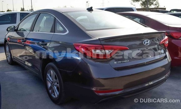 Buy Import Hyundai Sonata Brown Car in Import - Dubai in Kampot Province Buy Import Hyundai Sonata Brown Car in Import - Dubai in Kampot Province
