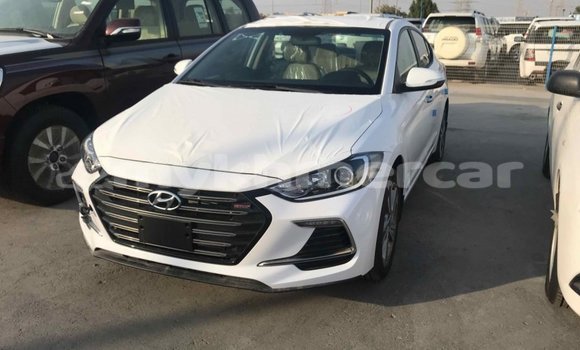 ទិញ នាំចូល Hyundai Elantra White ឡាន} ក្នុង Import - Dubai ក្នុង Kampot Province ទិញ នាំចូល Hyundai Elantra White ឡាន} ក្នុង Import - Dubai ក្នុង Kampot Province