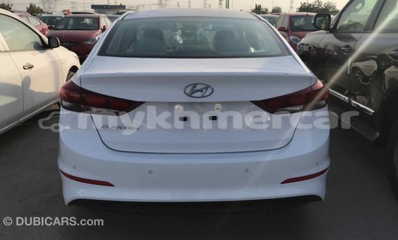 ទិញ នាំចូល Hyundai Elantra White ឡាន} ក្នុង Import - Dubai ក្នុង Kampot Province ទិញ នាំចូល Hyundai Elantra White ឡាន} ក្នុង Import - Dubai ក្នុង Kampot Province