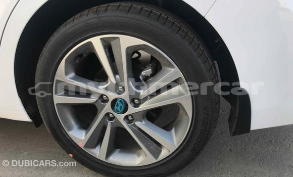 ទិញ នាំចូល Hyundai Elantra White ឡាន} ក្នុង Import - Dubai ក្នុង Kampot Province ទិញ នាំចូល Hyundai Elantra White ឡាន} ក្នុង Import - Dubai ក្នុង Kampot Province