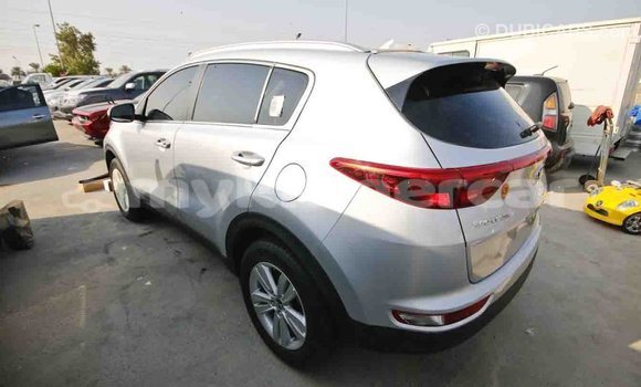 Buy Import Kia Sportage Other Car in Import - Dubai in Kampot Province Buy Import Kia Sportage Other Car in Import - Dubai in Kampot Province
