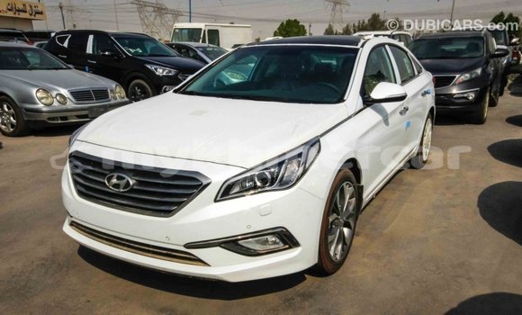 Buy Import Hyundai Sonata White Car in Import - Dubai in Kampot Province Buy Import Hyundai Sonata White Car in Import - Dubai in Kampot Province