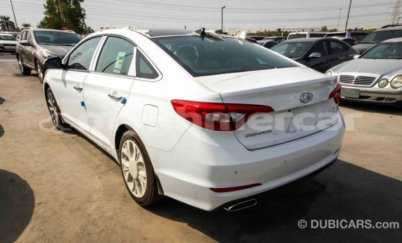 Buy Import Hyundai Sonata White Car in Import - Dubai in Kampot Province Buy Import Hyundai Sonata White Car in Import - Dubai in Kampot Province