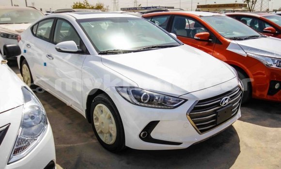 Buy Import Hyundai Elantra White Car in Import - Dubai in Kampot Province Buy Import Hyundai Elantra White Car in Import - Dubai in Kampot Province