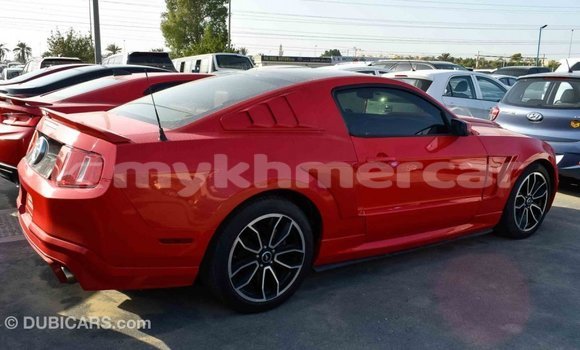 ទិញ នាំចូល Ford Mustang Red ឡាន} ក្នុង Import - Dubai ក្នុង Kampot Province ទិញ នាំចូល Ford Mustang Red ឡាន} ក្នុង Import - Dubai ក្នុង Kampot Province