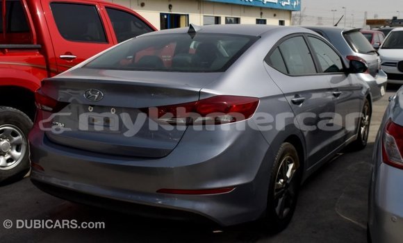 Buy Import Hyundai Elantra Other Car in Import - Dubai in Kampot Province Buy Import Hyundai Elantra Other Car in Import - Dubai in Kampot Province