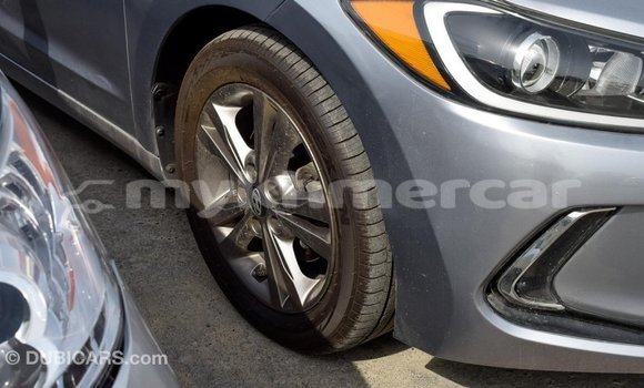 Buy Import Hyundai Elantra Other Car in Import - Dubai in Kampot Province Buy Import Hyundai Elantra Other Car in Import - Dubai in Kampot Province