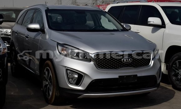 Buy Import Kia Sorento Other Car in Import - Dubai in Kampot Province Buy Import Kia Sorento Other Car in Import - Dubai in Kampot Province