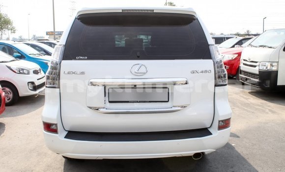 Buy Import Lexus GX White Car in Import - Dubai in Kampot Province Buy Import Lexus GX White Car in Import - Dubai in Kampot Province