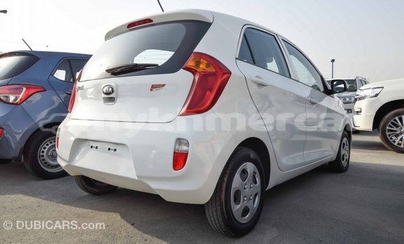 ទិញ នាំចូល Kia Picanto White ឡាន} ក្នុង Import - Dubai ក្នុង Kampot Province ទិញ នាំចូល Kia Picanto White ឡាន} ក្នុង Import - Dubai ក្នុង Kampot Province