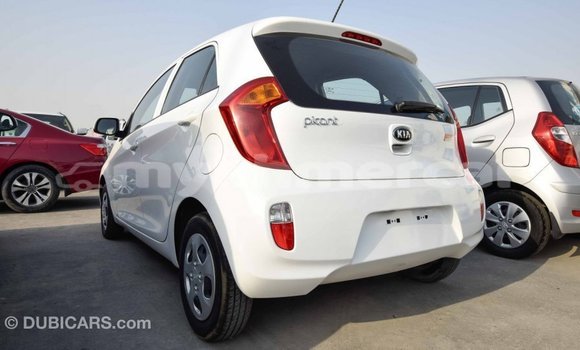ទិញ នាំចូល Kia Picanto White ឡាន} ក្នុង Import - Dubai ក្នុង Kampot Province ទិញ នាំចូល Kia Picanto White ឡាន} ក្នុង Import - Dubai ក្នុង Kampot Province