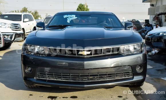 Buy Import Chevrolet Camaro Other Car in Import - Dubai in Kampot Province Buy Import Chevrolet Camaro Other Car in Import - Dubai in Kampot Province