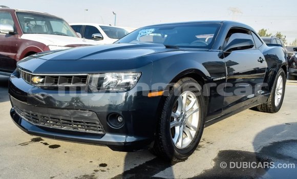 Buy Import Chevrolet Camaro Other Car in Import - Dubai in Kampot Province Buy Import Chevrolet Camaro Other Car in Import - Dubai in Kampot Province