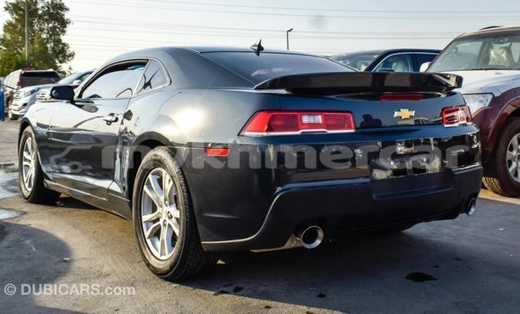 Buy Import Chevrolet Camaro Other Car in Import - Dubai in Kampot Province Buy Import Chevrolet Camaro Other Car in Import - Dubai in Kampot Province