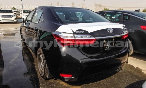 ទិញ នាំចូល Toyota Corolla Black ឡាន} ក្នុង Import - Dubai ក្នុង Kampot Province ទិញ នាំចូល Toyota Corolla Black ឡាន} ក្នុង Import - Dubai ក្នុង Kampot Province