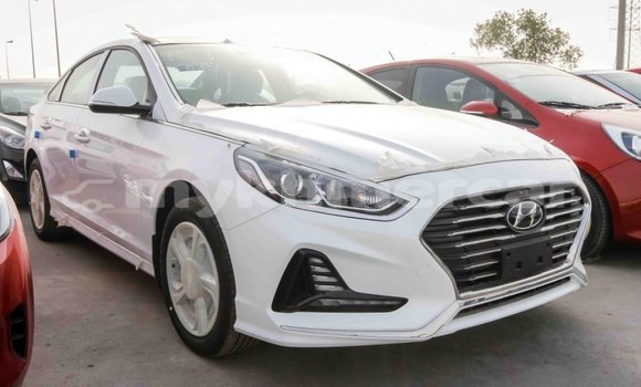 Buy Import Hyundai Sonata White Car in Import - Dubai in Kampot Province Buy Import Hyundai Sonata White Car in Import - Dubai in Kampot Province