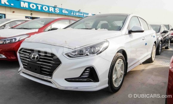 Buy Import Hyundai Sonata White Car in Import - Dubai in Kampot Province Buy Import Hyundai Sonata White Car in Import - Dubai in Kampot Province