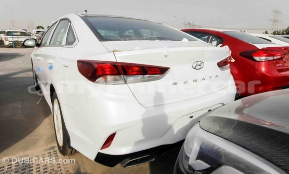 Buy Import Hyundai Sonata White Car in Import - Dubai in Kampot Province Buy Import Hyundai Sonata White Car in Import - Dubai in Kampot Province