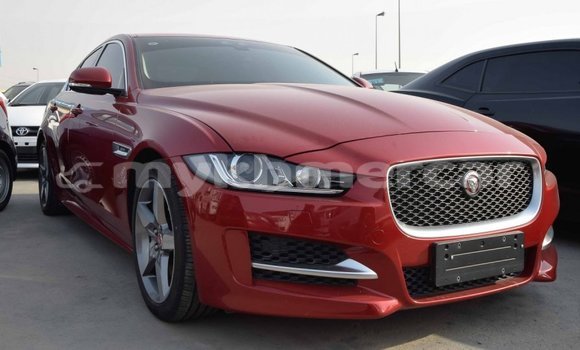 Buy Import Jaguar XE Red Car in Import - Dubai in Kampot Province