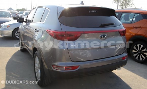 Buy Import Kia Sportage Other Car in Import - Dubai in Kampot Province Buy Import Kia Sportage Other Car in Import - Dubai in Kampot Province