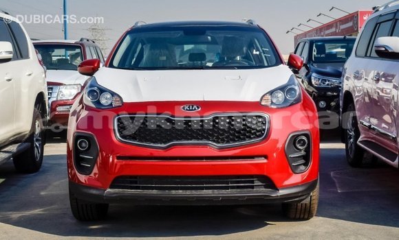 Buy Import Kia Sportage Red Car in Import - Dubai in Kampot Province Buy Import Kia Sportage Red Car in Import - Dubai in Kampot Province