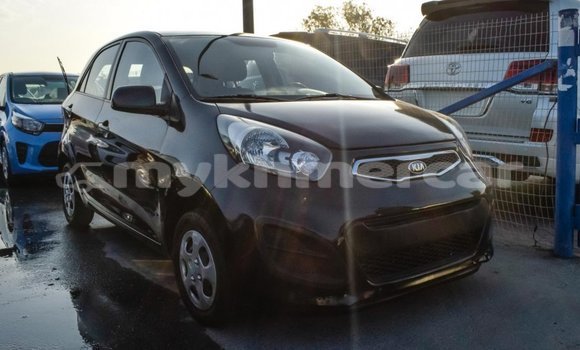 Buy Import Kia Picanto Black Car in Import - Dubai in Kampot Province Buy Import Kia Picanto Black Car in Import - Dubai in Kampot Province