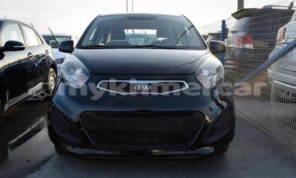 Buy Import Kia Picanto Black Car in Import - Dubai in Kampot Province Buy Import Kia Picanto Black Car in Import - Dubai in Kampot Province